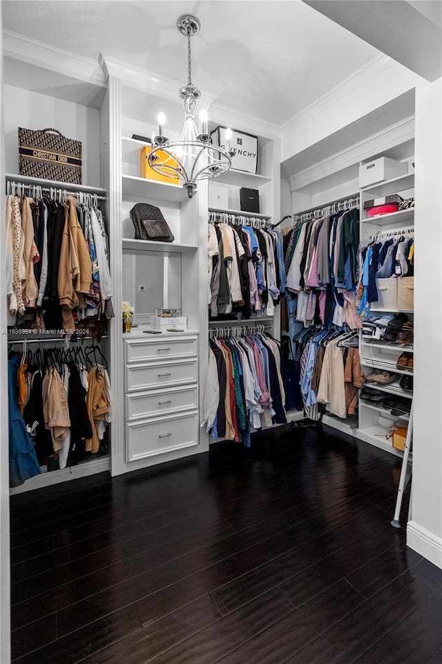 walk in closet with wood-type flooring and a chandelier