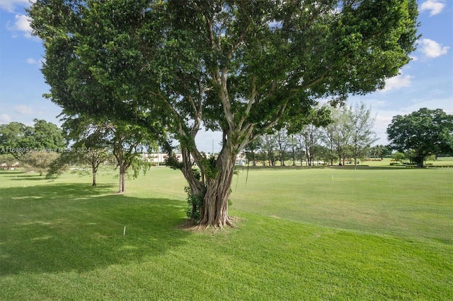 view of community featuring a yard