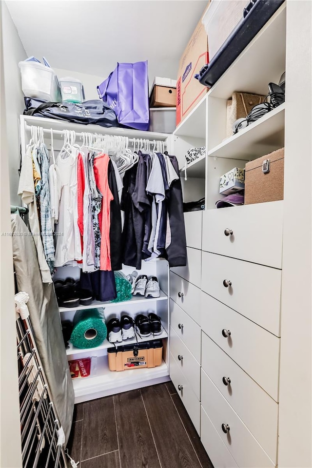 spacious closet featuring dark hardwood / wood-style flooring