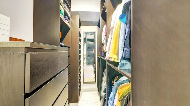 spacious closet featuring light hardwood / wood-style flooring