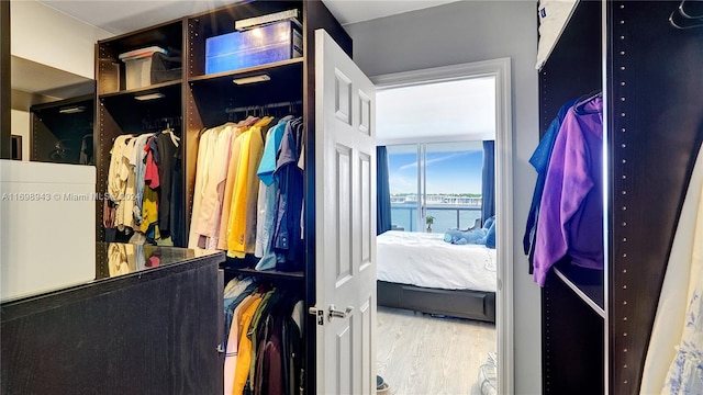 walk in closet featuring hardwood / wood-style flooring