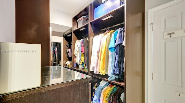 view of walk in closet