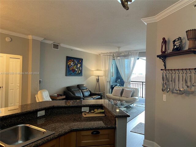 1660 Renaissance Commons Blvd Unit 2518, Boynton Beach, FL 33426 - kitchen with open floor plan, ornamental molding, and dark stone countertops
