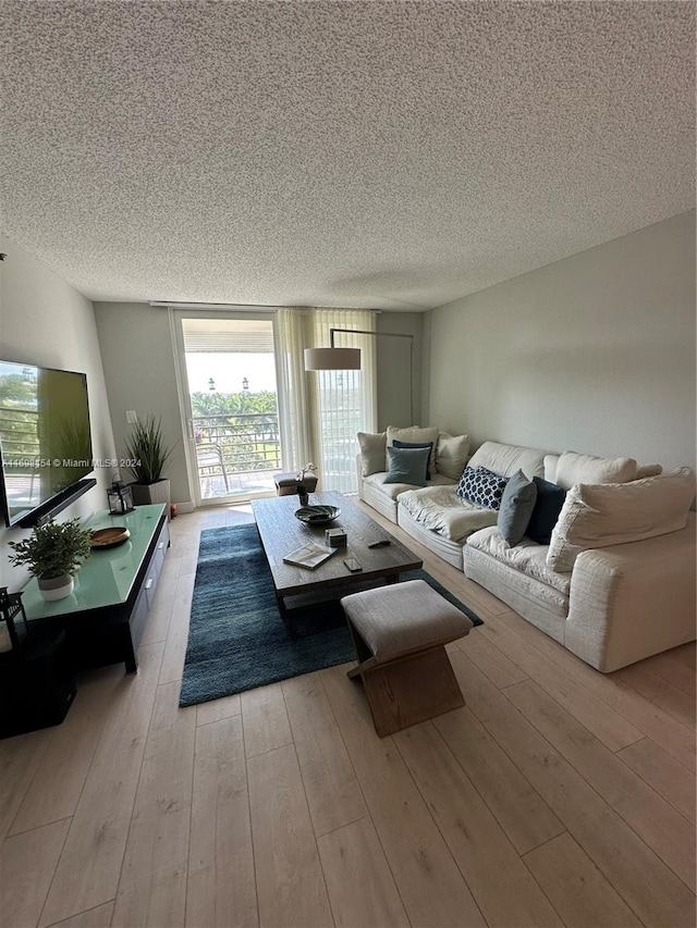 living room with a textured ceiling and light hardwood / wood-style flooring