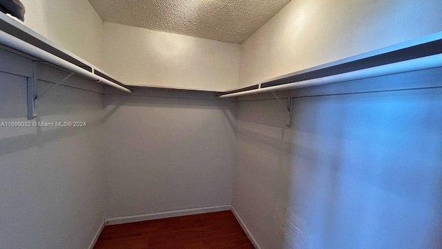 walk in closet with hardwood / wood-style flooring