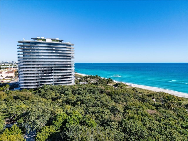 property view of water featuring a view of the beach