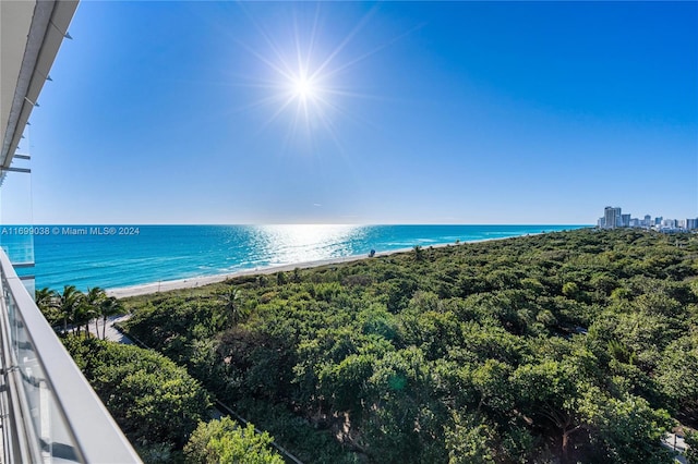 view of water feature with a beach view