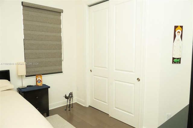 bedroom featuring a closet and dark wood-type flooring