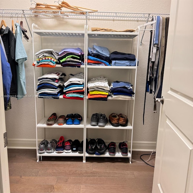 spacious closet featuring wood-type flooring