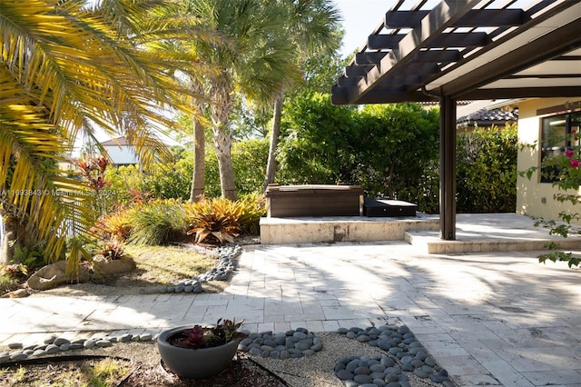 view of patio / terrace with a pergola