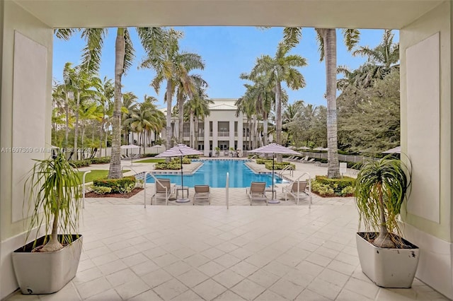 view of pool featuring a patio