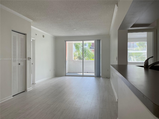 interior space featuring light hardwood / wood-style flooring, a textured ceiling, and ornamental molding