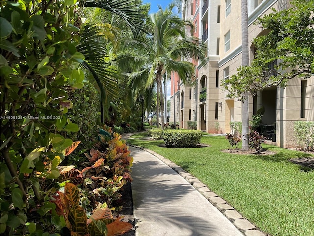 view of community with a lawn