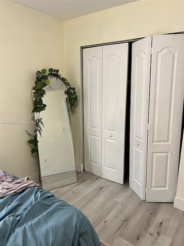 bedroom featuring light wood-type flooring and a closet