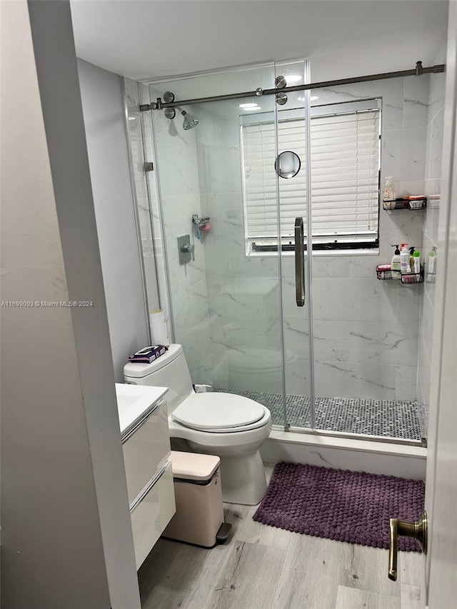 bathroom with vanity, toilet, and walk in shower