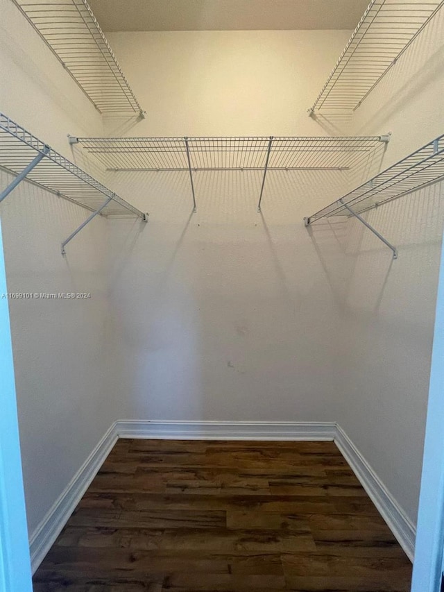 walk in closet with dark wood-type flooring