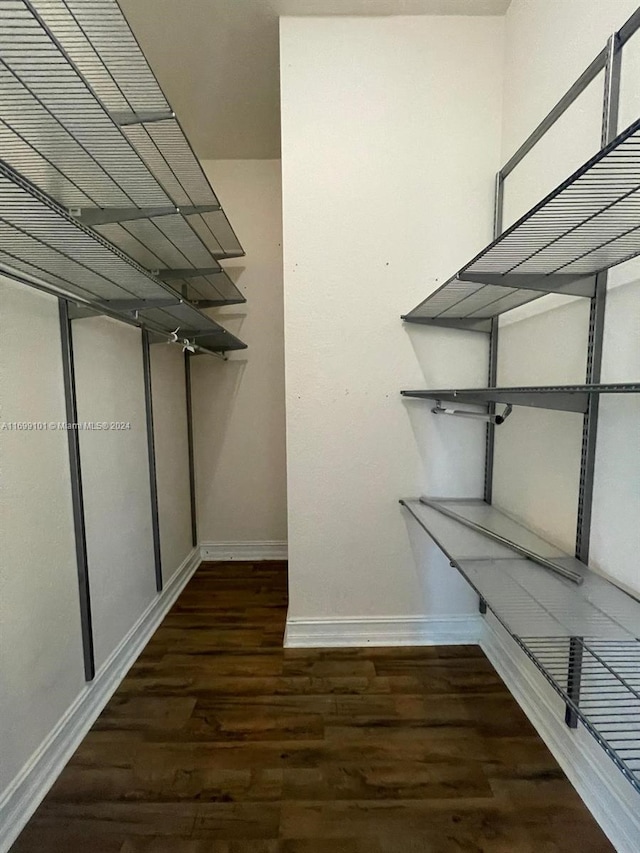 spacious closet with dark hardwood / wood-style flooring