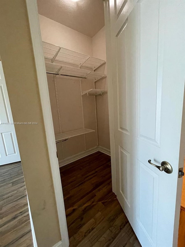 walk in closet with dark hardwood / wood-style flooring