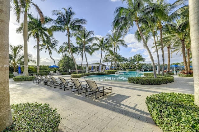 view of swimming pool with a patio