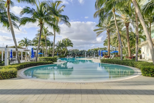 view of swimming pool with a patio