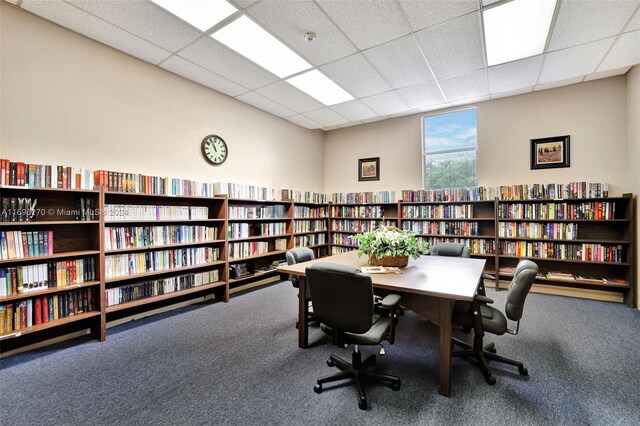 carpeted home office with a paneled ceiling