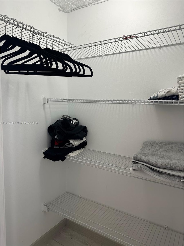 walk in closet with hardwood / wood-style floors