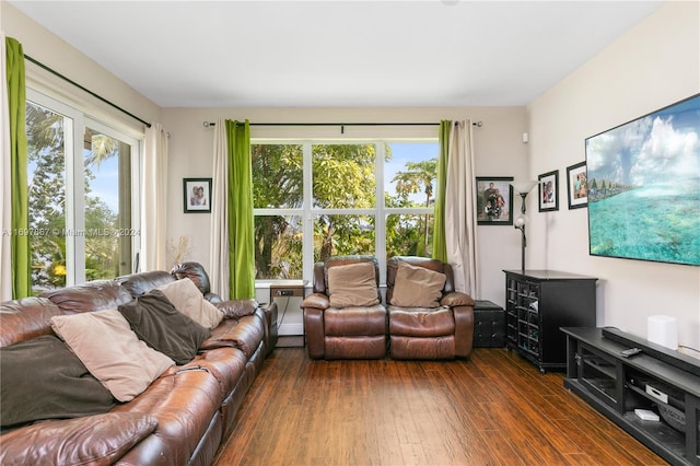 living room with dark wood-type flooring