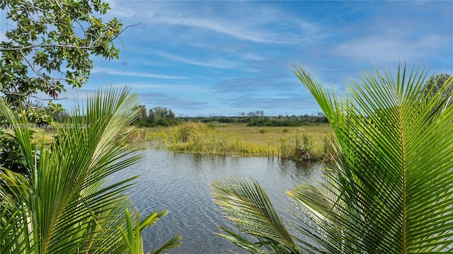 property view of water