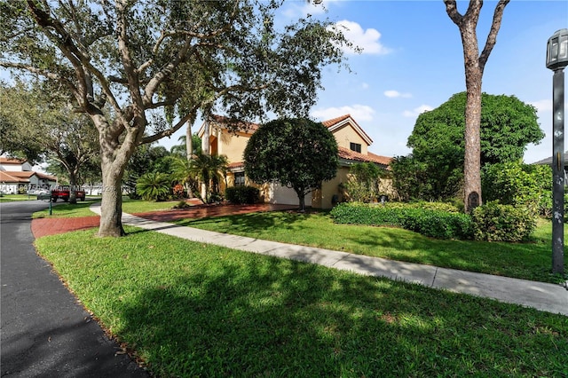 view of front of property with a front lawn