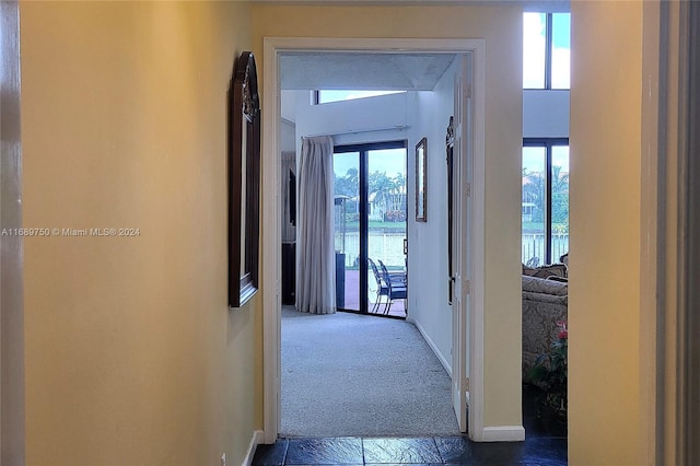 hall with carpet and plenty of natural light