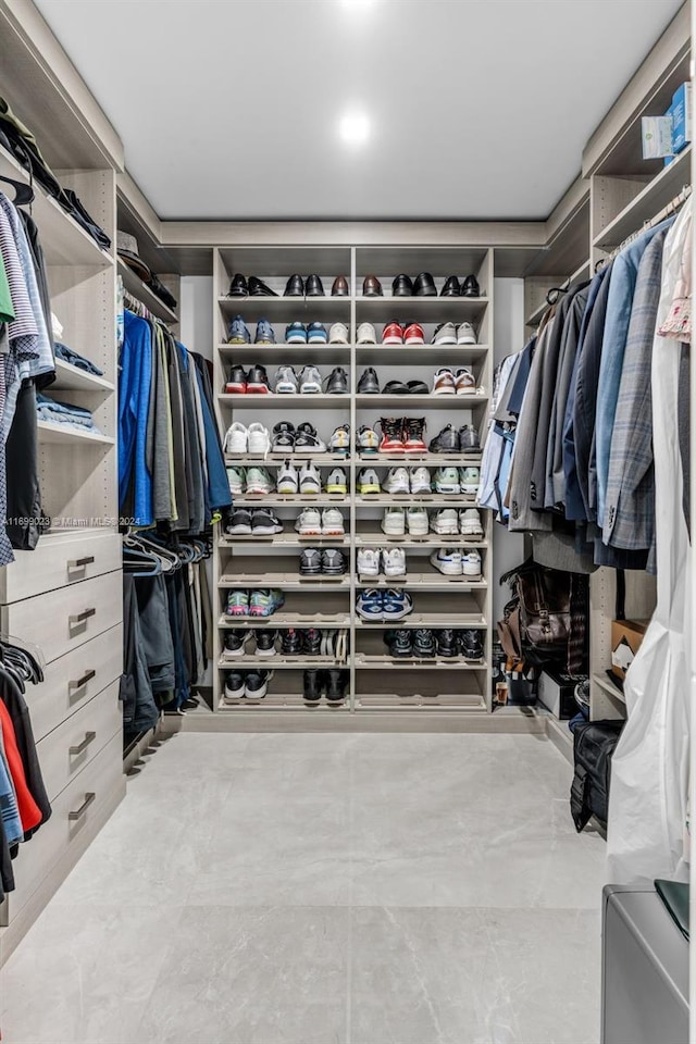 view of spacious closet