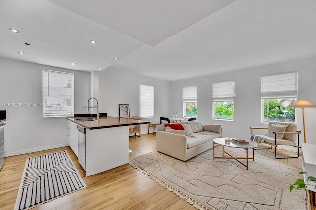 living room with light hardwood / wood-style flooring and sink