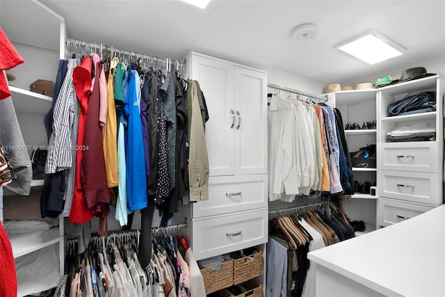 view of spacious closet