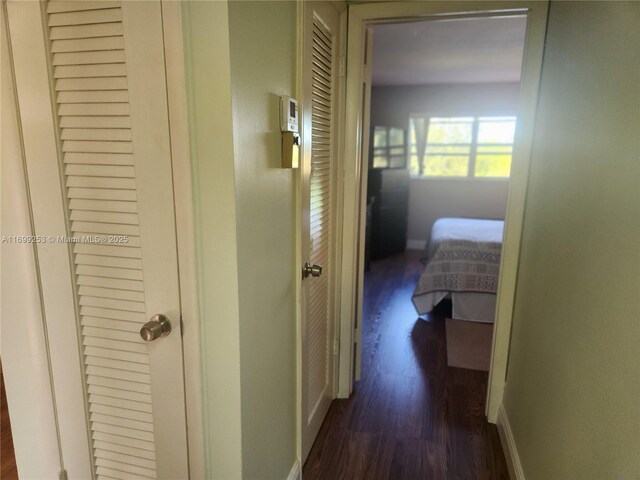 hallway with dark hardwood / wood-style flooring