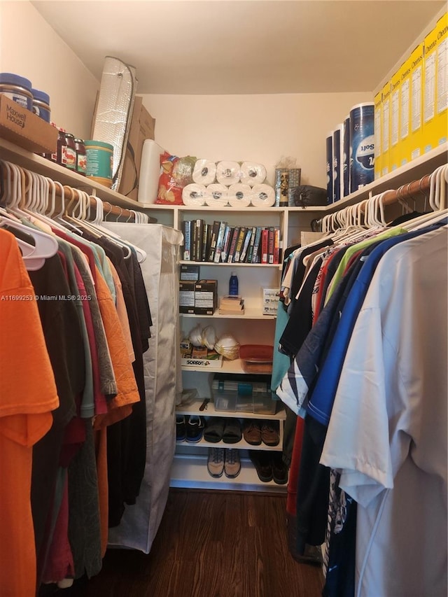 spacious closet with dark wood-type flooring