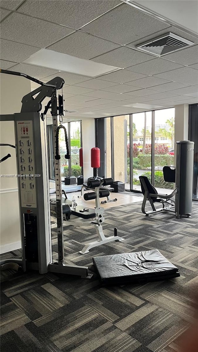 gym featuring carpet, a paneled ceiling, and expansive windows