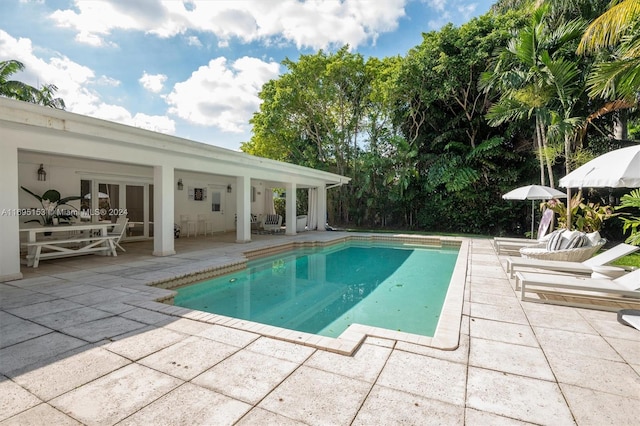 view of pool featuring a patio