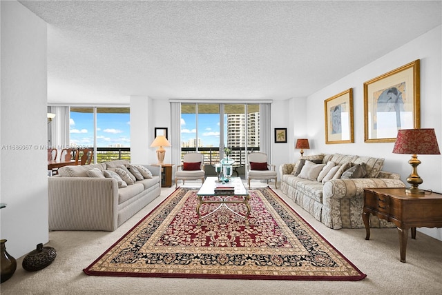 carpeted living room with a wall of windows and a textured ceiling