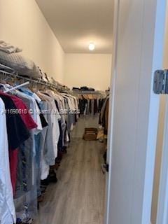 walk in closet featuring wood-type flooring