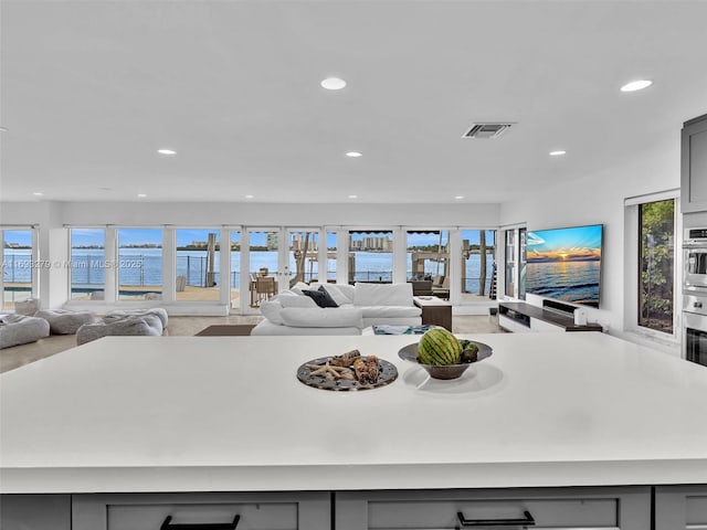 interior space featuring a water view, oven, and gray cabinetry