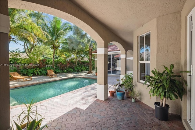 view of pool with a patio area