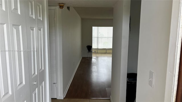 hall featuring wood-type flooring