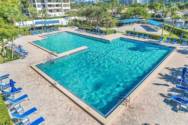 view of swimming pool featuring a patio