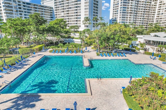 view of pool featuring a patio