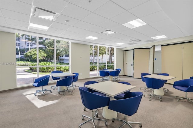 carpeted office space with a paneled ceiling and a wall of windows