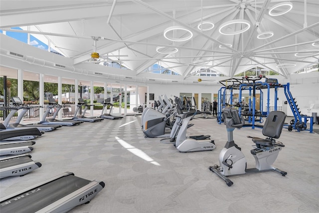 exercise room featuring carpet flooring, plenty of natural light, and high vaulted ceiling