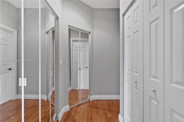 hall featuring wood-type flooring