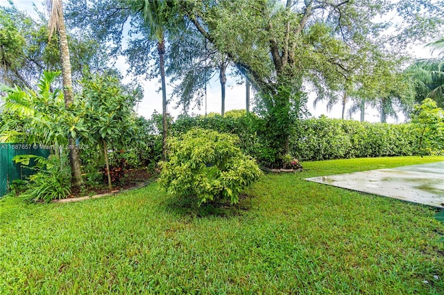 view of yard with a patio area