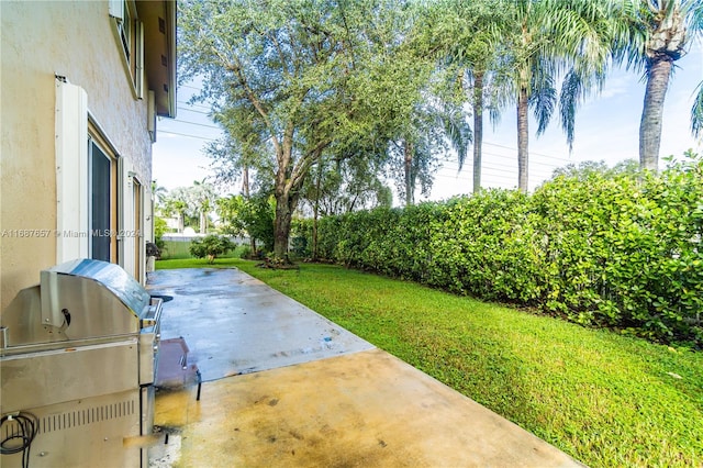 view of yard with a patio area