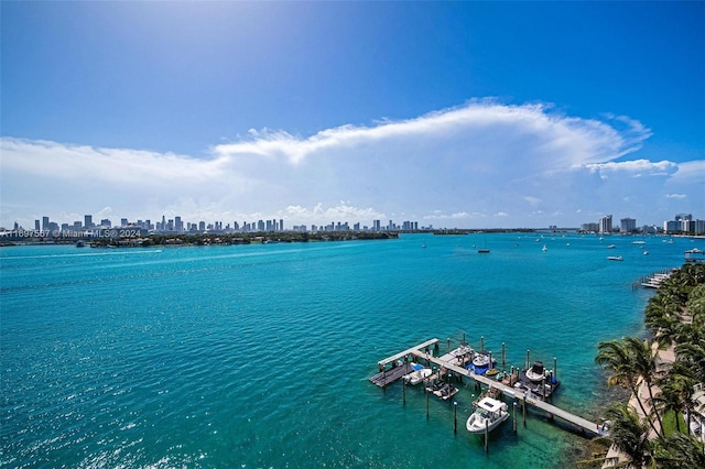 water view with a dock